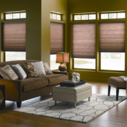 CELLULAR SHADES