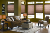 CELLULAR SHADES