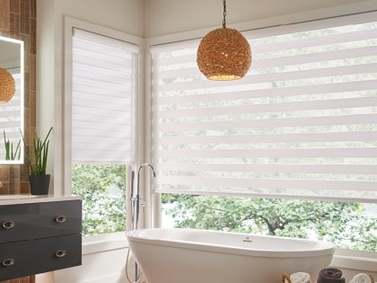 Dual Roller Shades